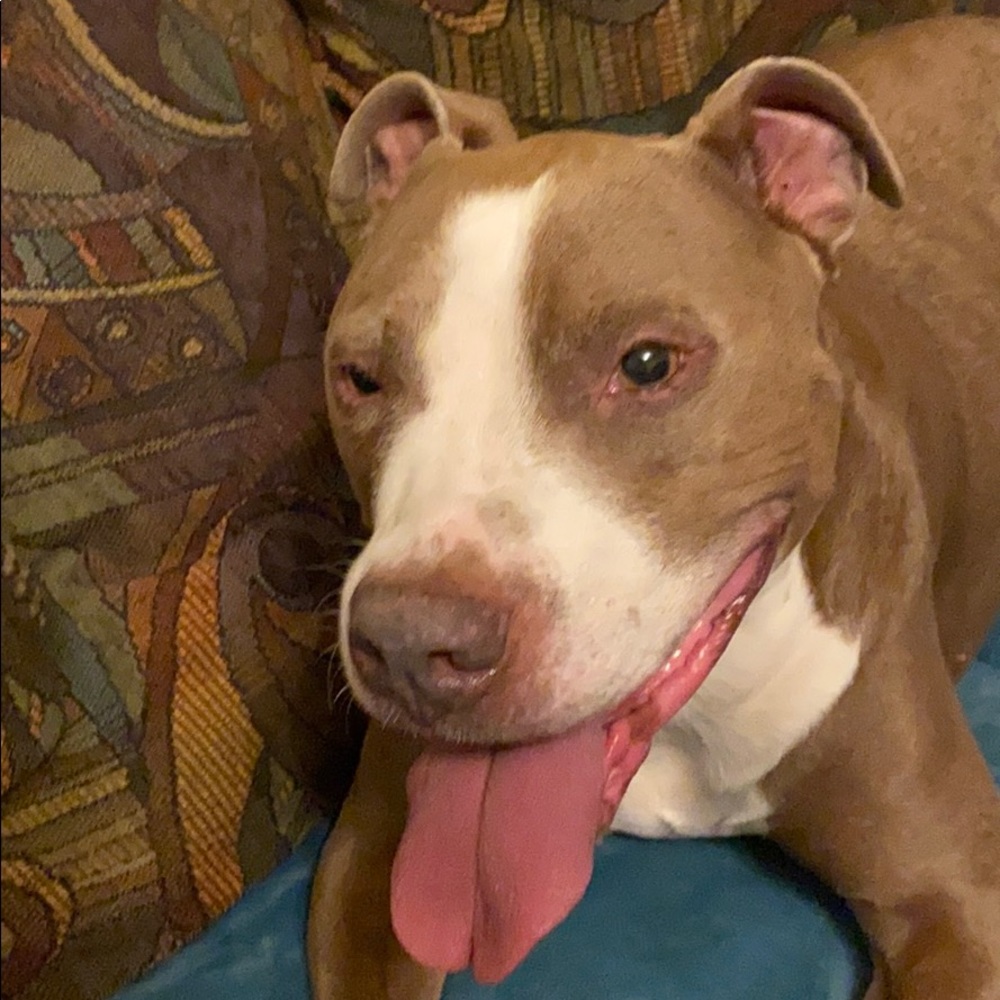 Meet your Posher, Kels